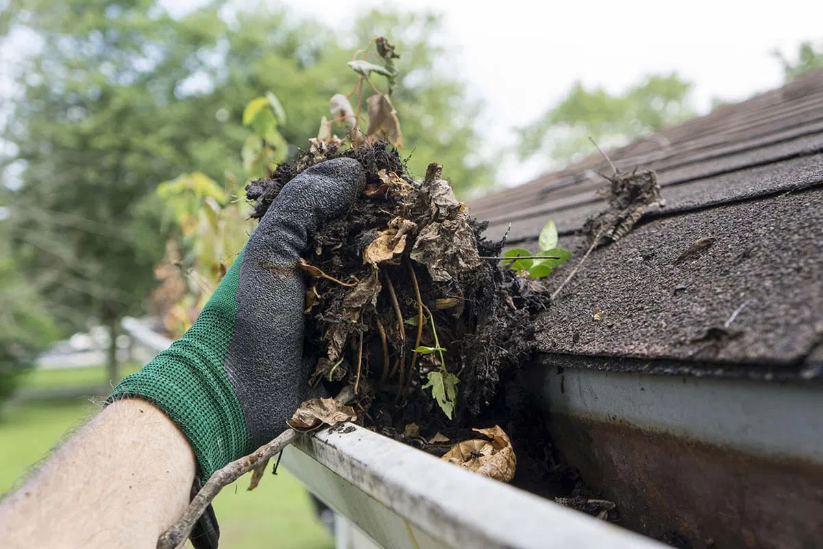 A Person Wearing A Glove Using A Pressure Washer For Gutter Cleaning, Blasting Out Debris From A Gutter.