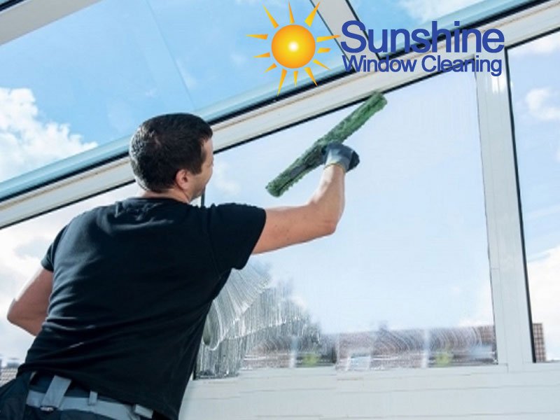 A professional window cleaner efficiently cleaning a residential window on a sunny day.
